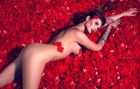 Latin escort Bry in Dubai, AED 1500 per hour
