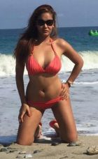 Albie, adult photo