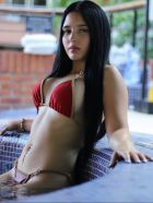 Domination escort in Dubai available for AED 2000