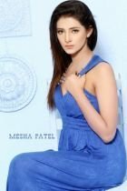 MESHA-VIP-indian Model, starts from 1000 p/h